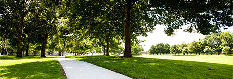 Ray Small Park