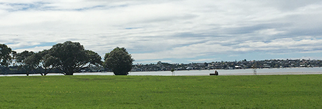 Roberta Reserve