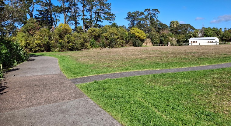 Horowai / Roberts Field – A section of the paths and open grassed space with trees in the background.