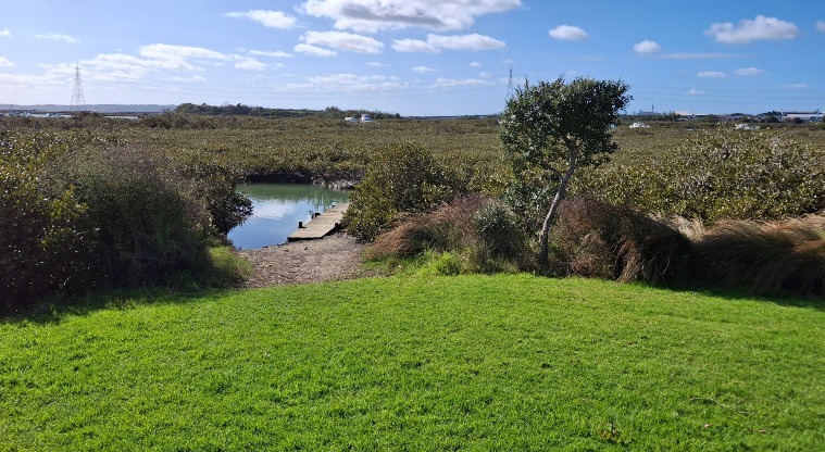 Horowai / Roberts Field – Open grassed area with mangroves and a small ramp on the water’s edge.