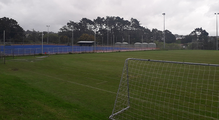 Rosedale Park - Sports fields.
