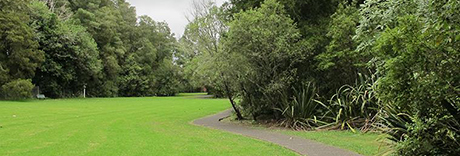 Stancich Reserve