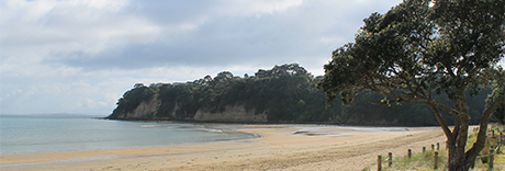 Stanmore Bay Park
