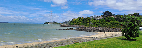 Taumanu Reserve