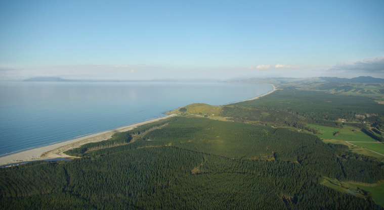 Te Ārai Regional Park - Aerial view looking south.