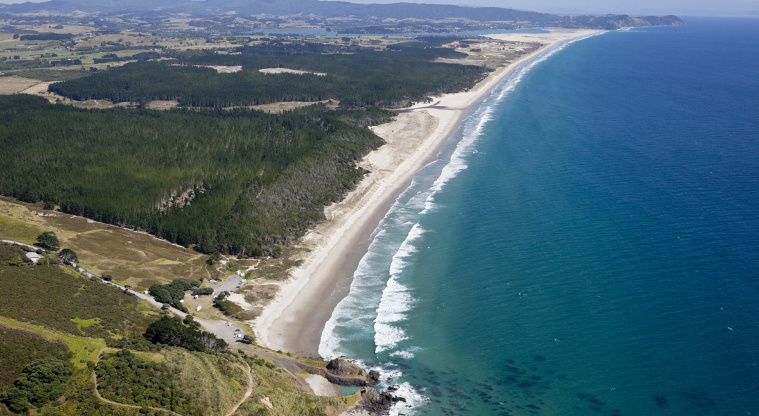 Te Ārai Regional Park - Aerial view looking north.