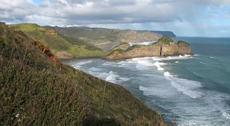 Te Henga (Bethells Beach), Waitākere Ranges Regional Park - View of O'Neill Bay looking towards Kauwhahaia Island.