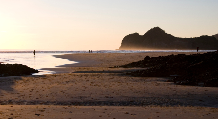 Te Henga (Bethells Beach), Waitākere Ranges Regional Park - Erangi Point at dusk.