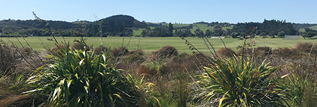 Te Puru Park