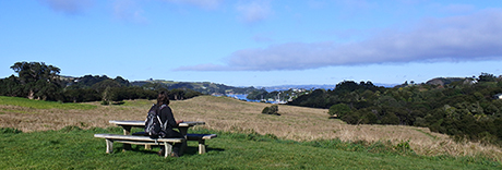 Te Toki Reserve