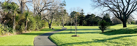 Tūī Glen Reserve