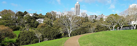 Waiata Reserve