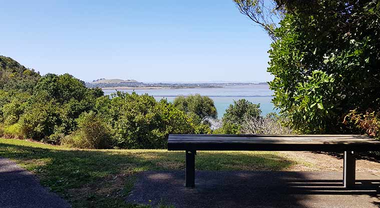 Waikōwhai Park - A seat at the top of the hill has great views of the harbour.