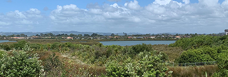 Waimahia Park