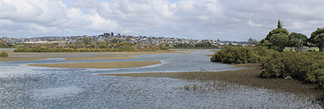 Western Reserve