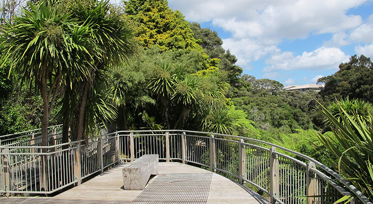 Albany Village Path