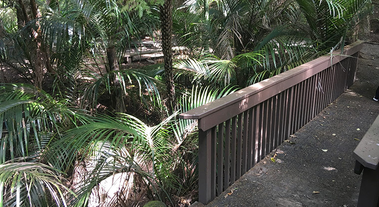 Alice Eaves Bush Path