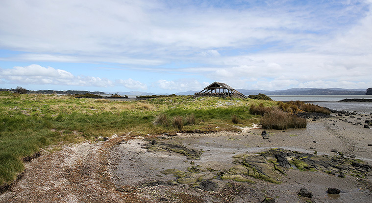 Ambury Foreshore Track