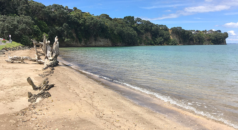 Arkles Bay Path