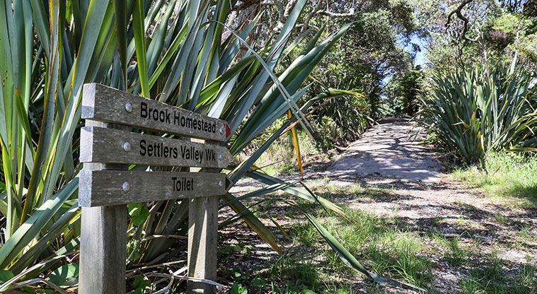 Āwhitu Brook Homestead Path - Path up from the beach.