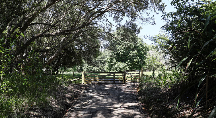 Āwhitu Brook Homestead Path - Follow path through gate.
