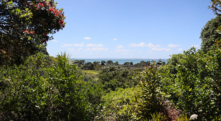 Āwhitu Brook Homestead Path - Elevated views of the southern Manukau Harbour.