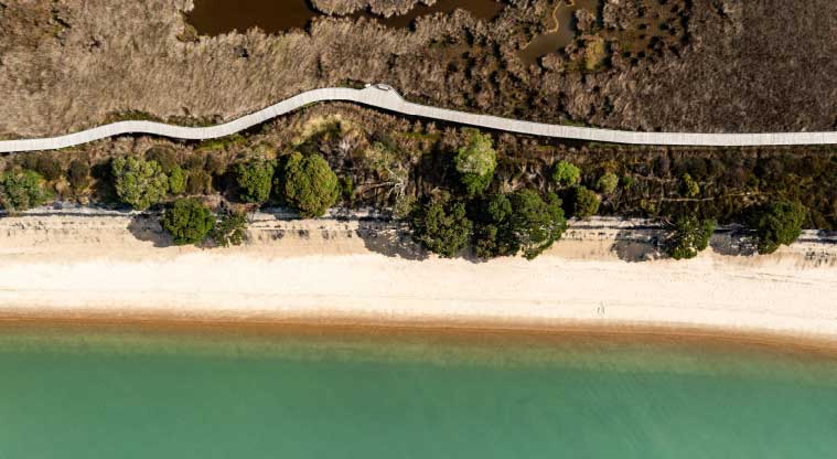 Āwhitu Brook Homestead Path - Birdseye view of the coastline and path.