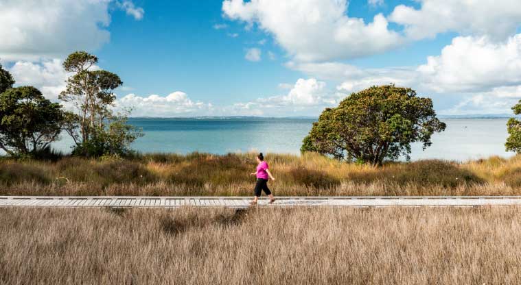 Āwhitu Brook Homestead Path - Follow the wooden path and take in the ocean views.