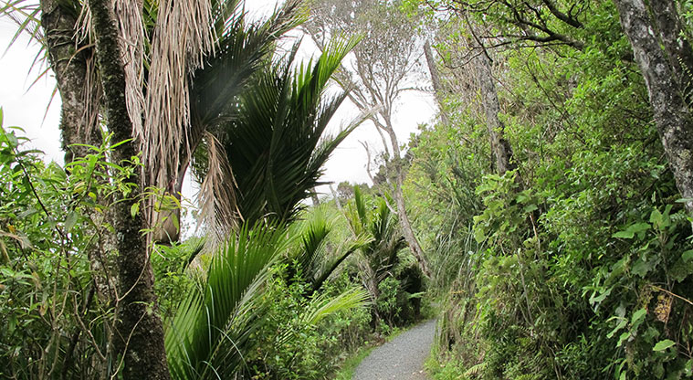 Beveridge to Arataki Track