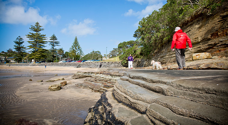 Campbells to Murrays Bay Path