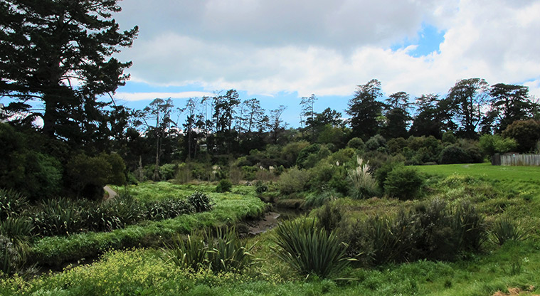 Cascades Path