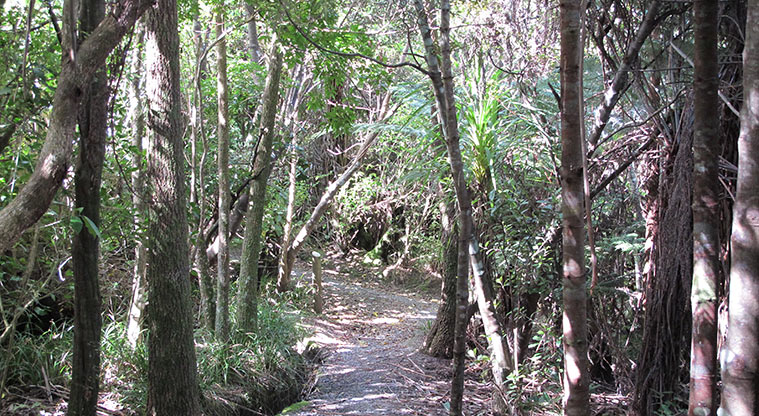 Centennial Park Nature Path