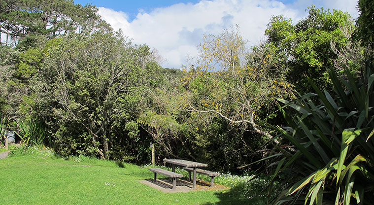 Centennial Park Nature Path - Great picnic spot.
