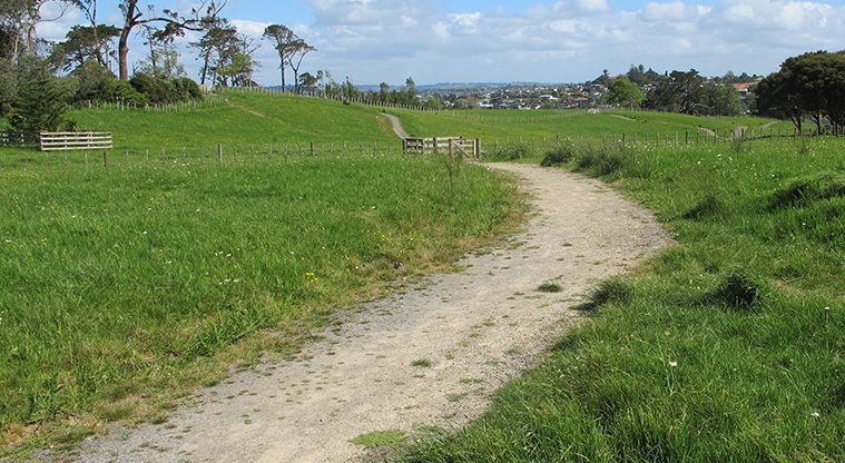 Churchill Park Path