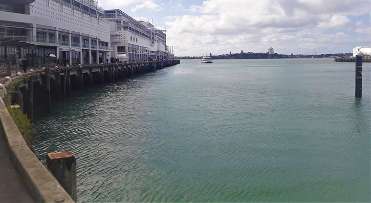 Coast to Coast Path (City to Pukekawa / Auckland Domain)