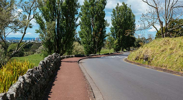 Coast to Coast Path (Cornwall Park to Manukau Harbour) – Section of path through Olive Grove.