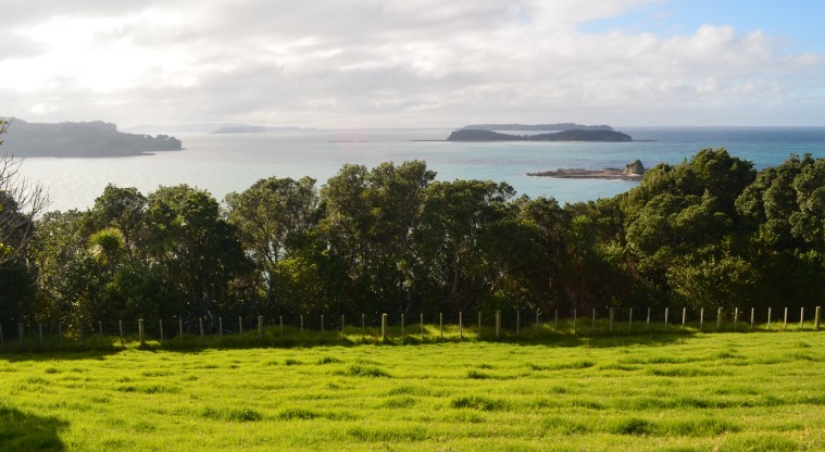 Cudlip Point Path - The stunning view north towards East Mahurangi, Motuora Island and in the far distance Kawau Island.