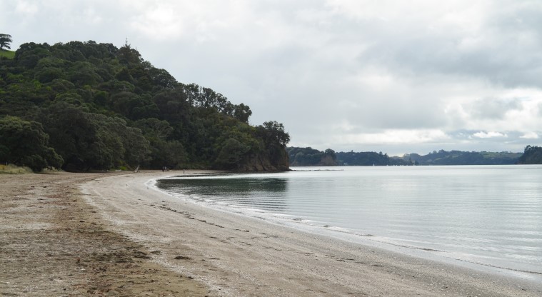 Cudlip Point Path - The beach at Otarawao (Sullivan's) Bay.