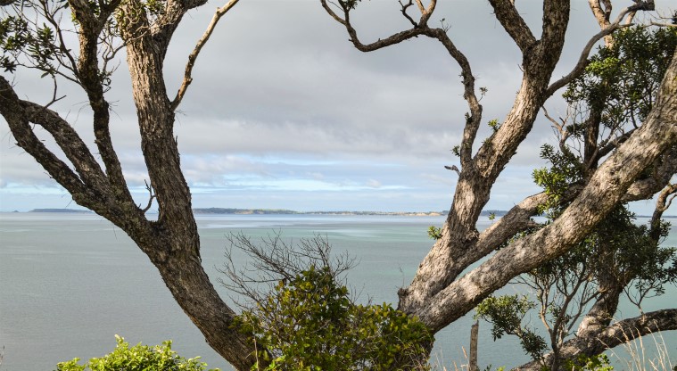 Cudlip Point Path - Views looking across the ocean back towards Whangaparāoa.