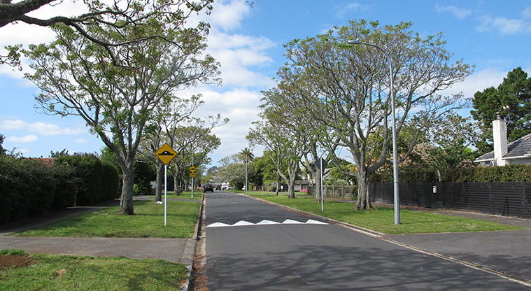 Dominion Road Loop Path