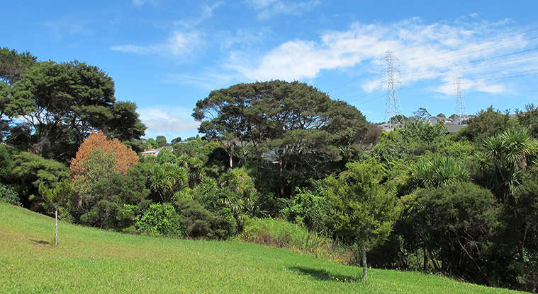 Emerald Valley Path