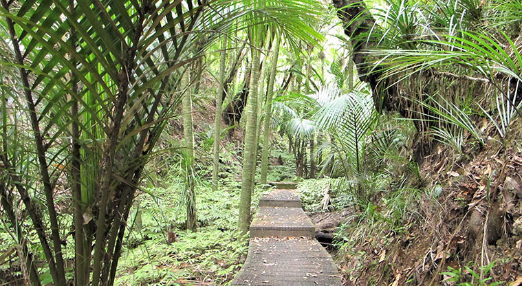 Fernglen Path