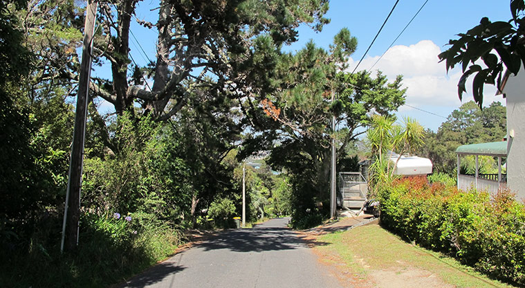 Greenhithe West Path - Continue down Tauhinu Road then turn right down Remu Place.