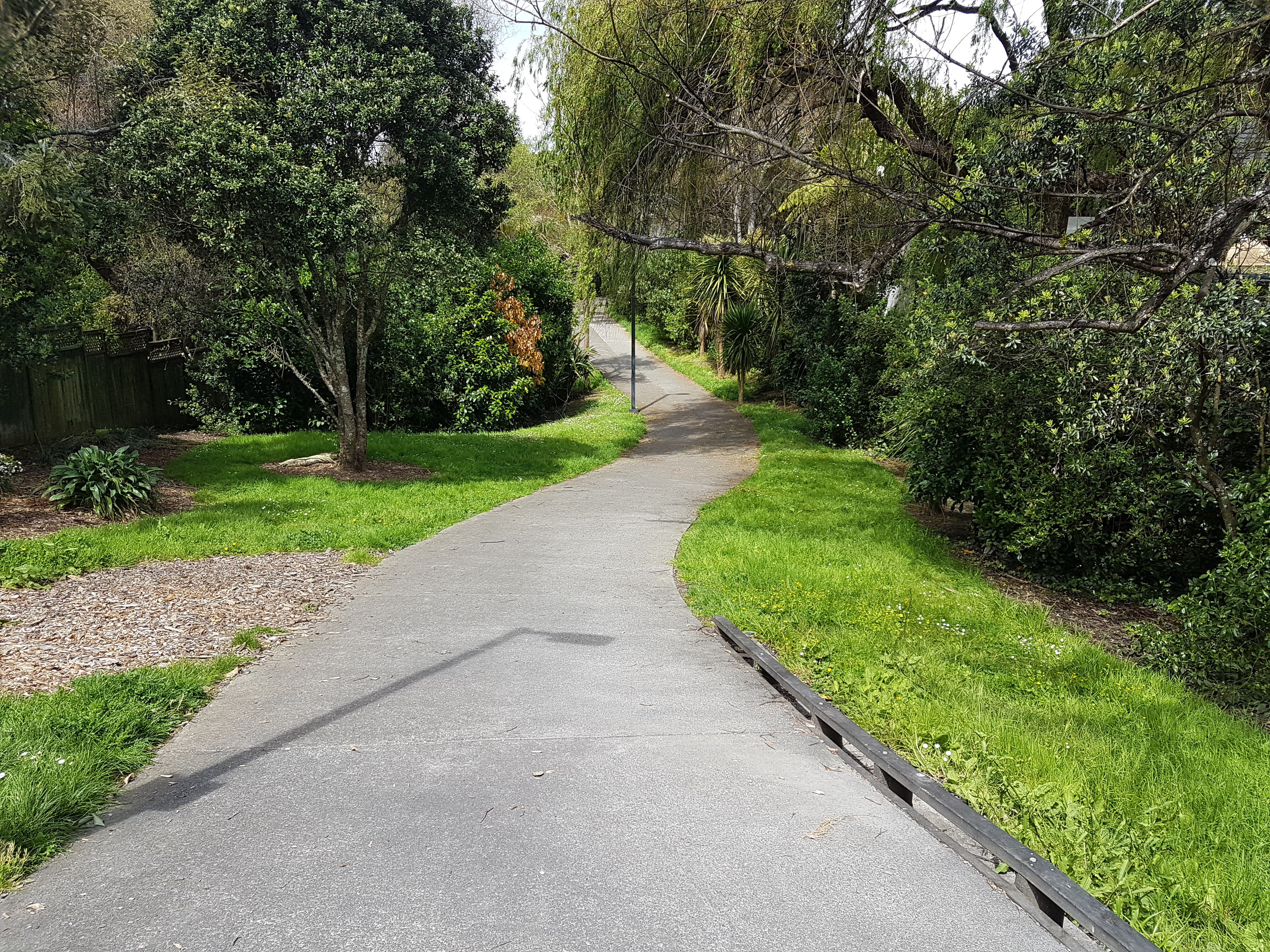 Grey Lynn to Pt Erin Path