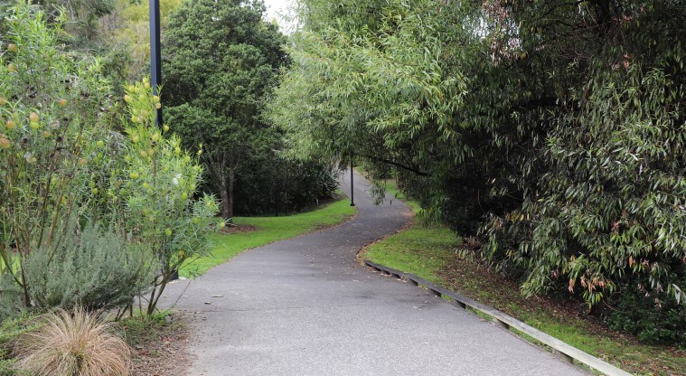 Grey Lynn Urban Ngahere Path