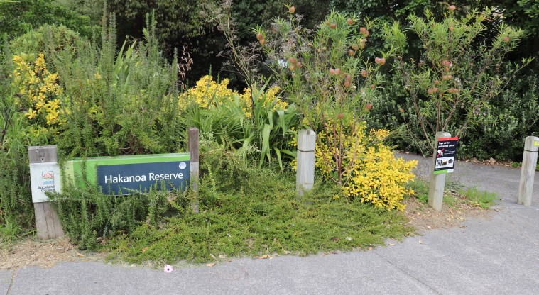 Grey Lynn Urban Ngahere Path – Start of the path at Hakanoa Reserve.