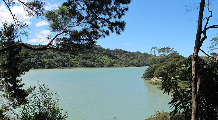Hellyers Creek Path