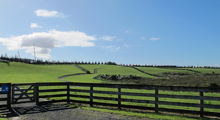 Highbrook South Path - Alternative access from Highbrook Drive.