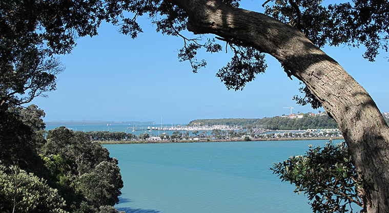 Hobson Bay West Path