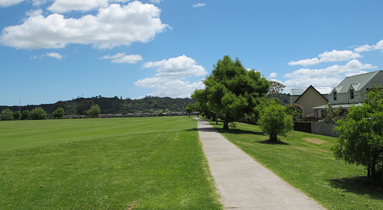 Huapai Reserve Path